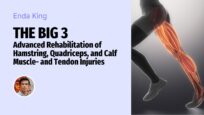 Advanced rehabilitation of hamstring, quadriceps, and calf muscle and tendon injuries