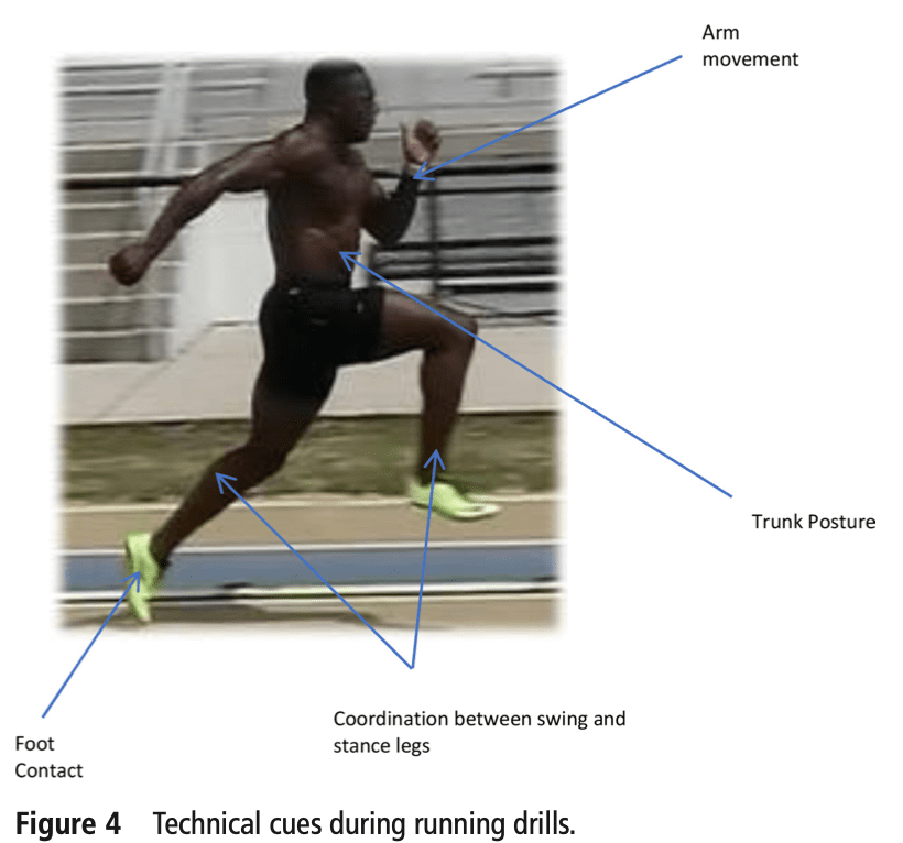 A Coach's Guide to Hamstring Injuries - Complete Track & Field