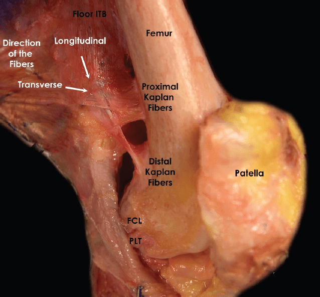 Figure 1 from Diagnosis of Iliotibial Band Friction Syndrome and