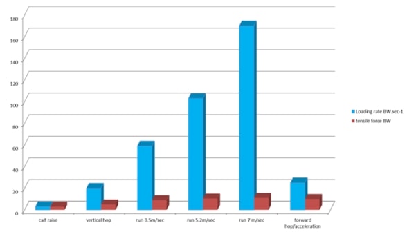 Achilles tendon load and loading rate