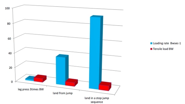 Patellar tendon load and loading rate