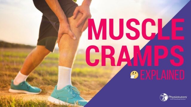 Muscle cramps explained