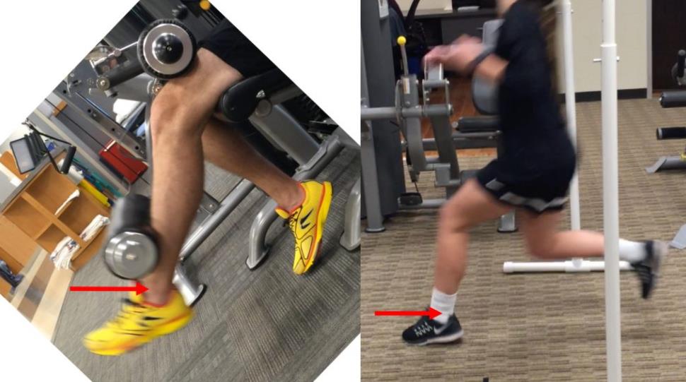 Leg Extension Vs Leg Curl: What's the Difference? – Burn Lab Pro®