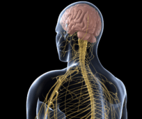 Mena del horno 2022 cns treatment frozen shoulder