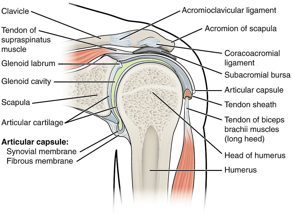 914 shoulder joint