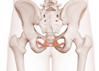 Pelvic floor