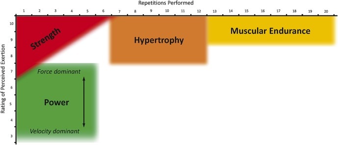 Exercise Prescription for strength, hypertrophy, endurance and power