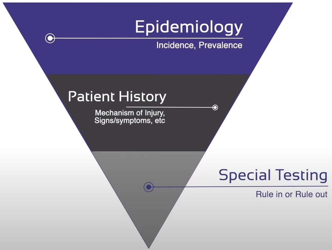 The diagnostic process