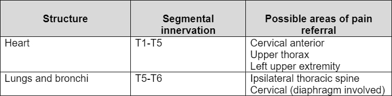 Cardiopulmonary tract