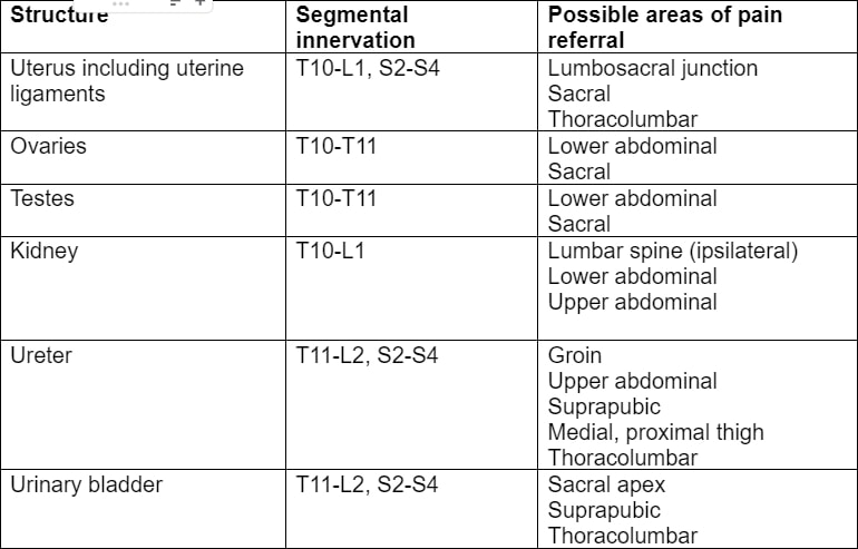 Urogenital tract