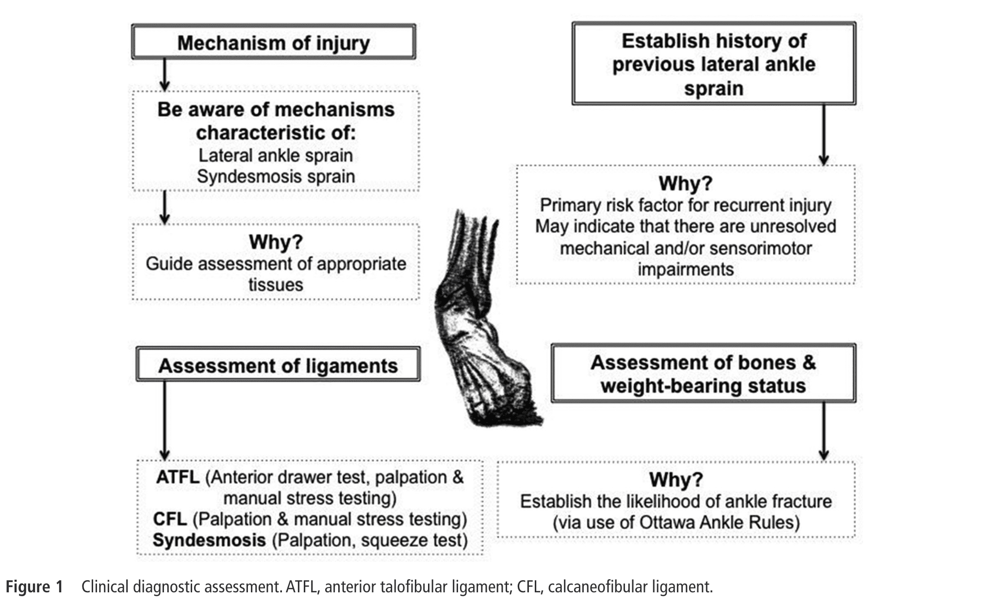 Lateral Ankle Sprain  Diagnosis & Treatment