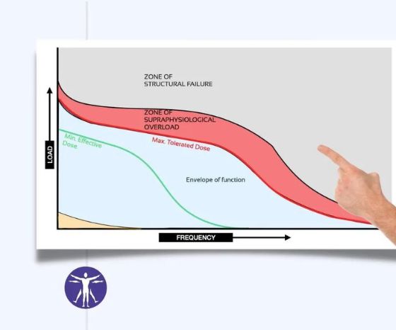 What is Dynamic Stress Load (DSL) and why is it important