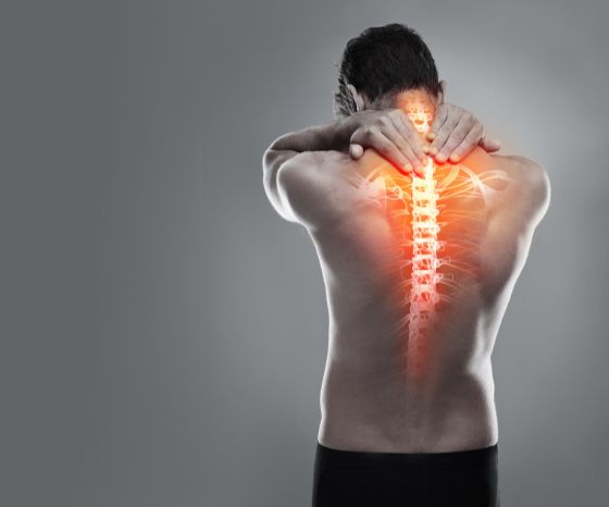 Back Pain Thoracic Spine (Middle) — Renwick Sports Physiotherapy &  Orthopaedic Centre