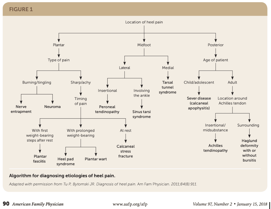 Tu 2018 algorithm heel pain