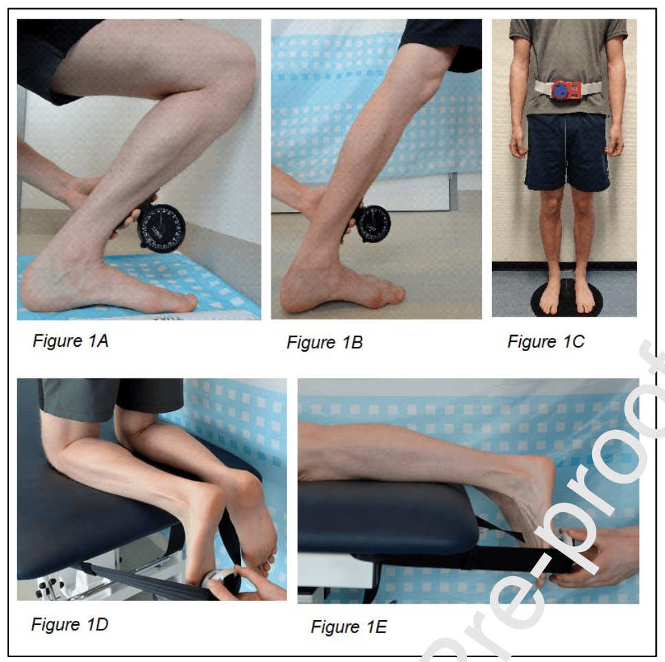 prognosis of Achilles Tendinopathy outcomes