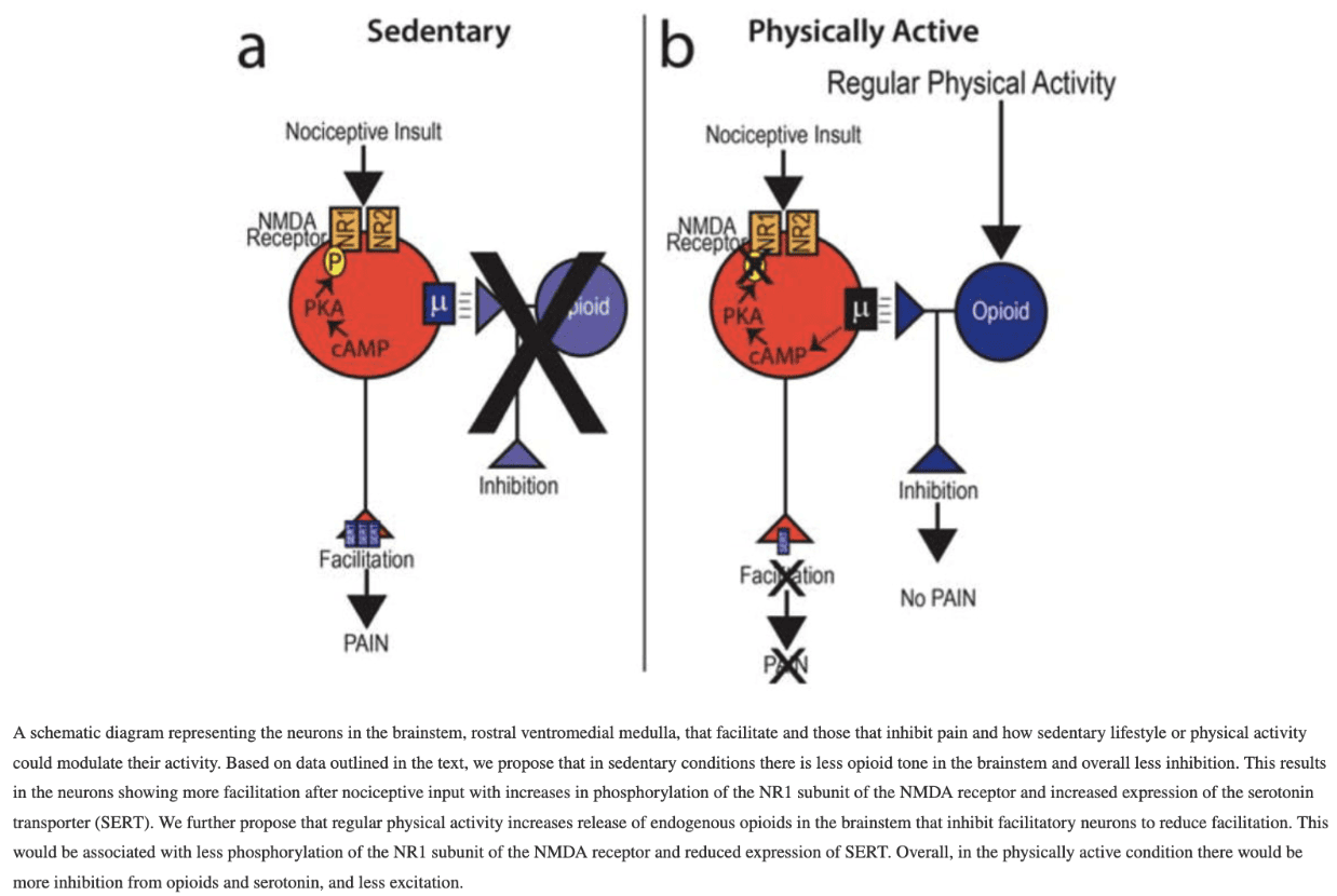 Exercise for Knee OA