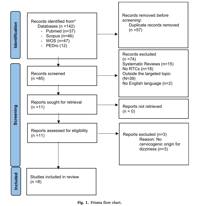 Manual therapy for cervicogenic dizziness.