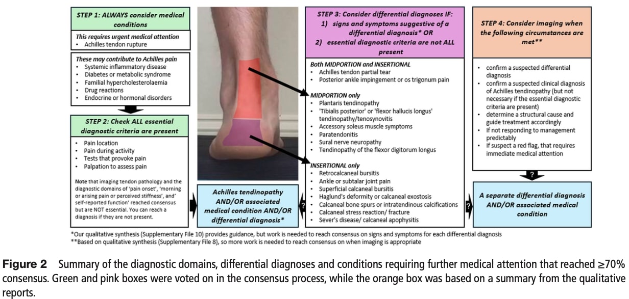 Achilles tendinopathy diagnosis 