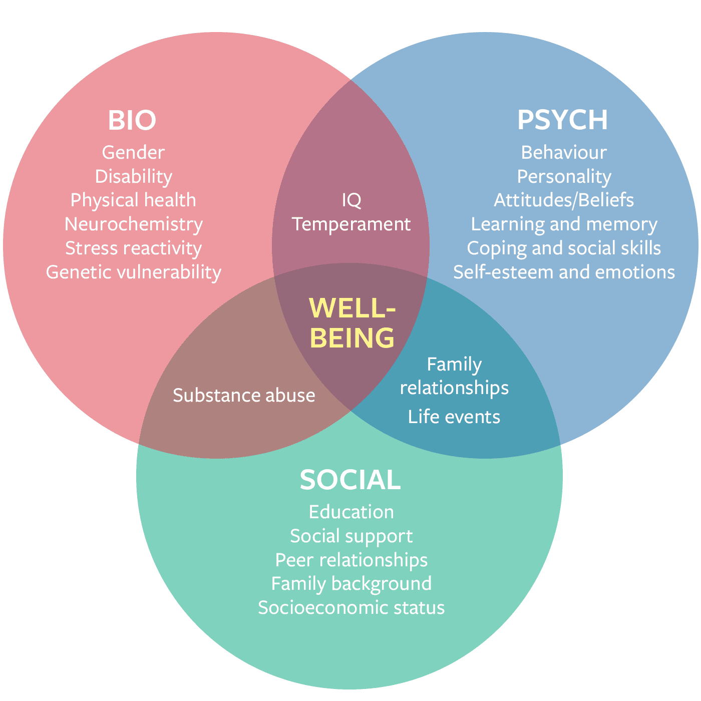 Bio psych social diagram