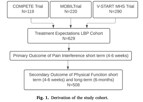 treatment expectations for LBP