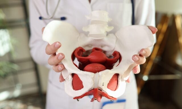 Lantion terveyden fysioterapia