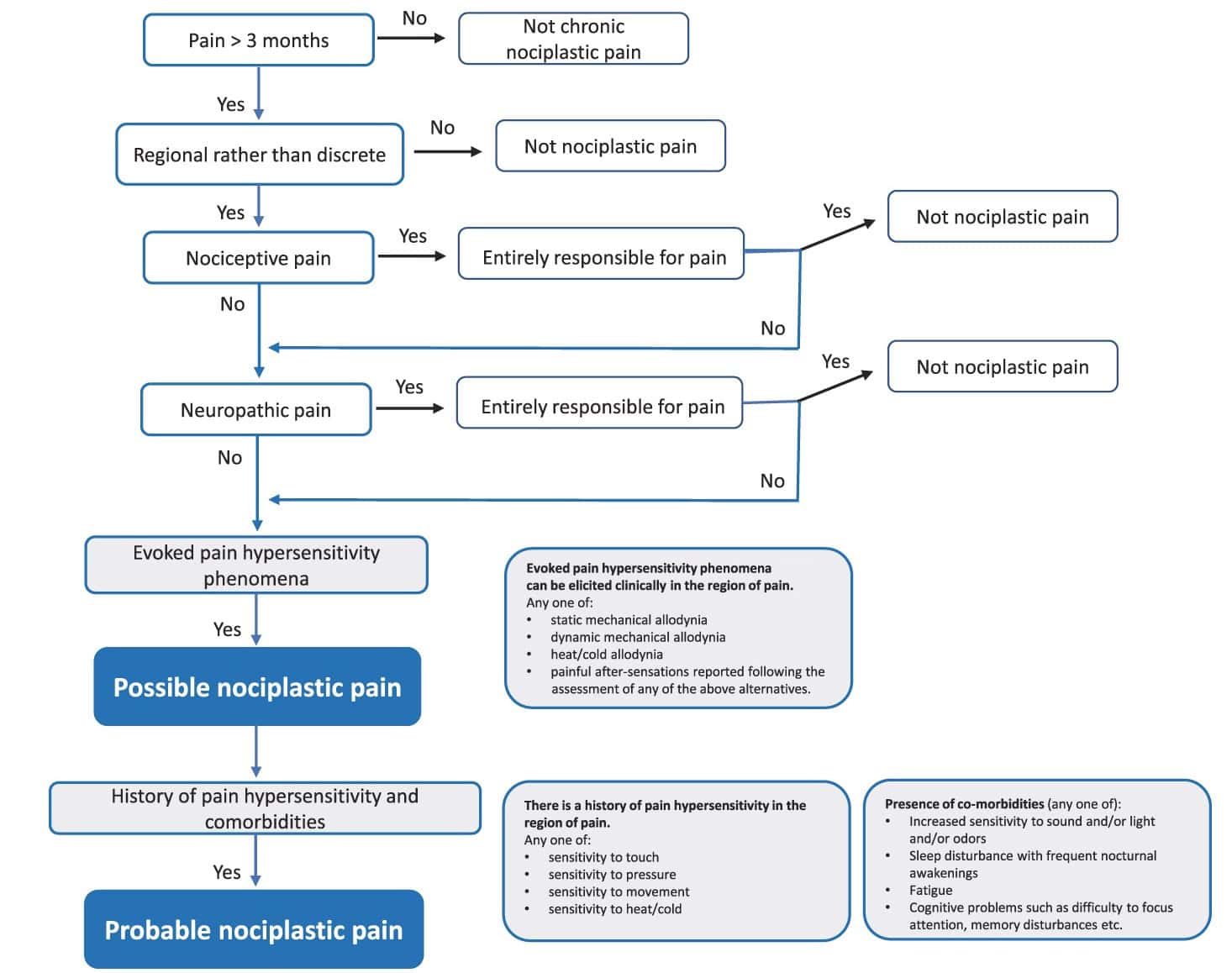 Neuropathic-Like Symptoms in Tendinopathy