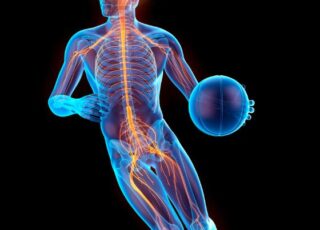 Sensorimotor dysfunction following acl injury (1)