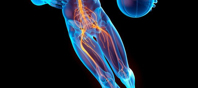 Sensorimotor dysfunction following acl injury
