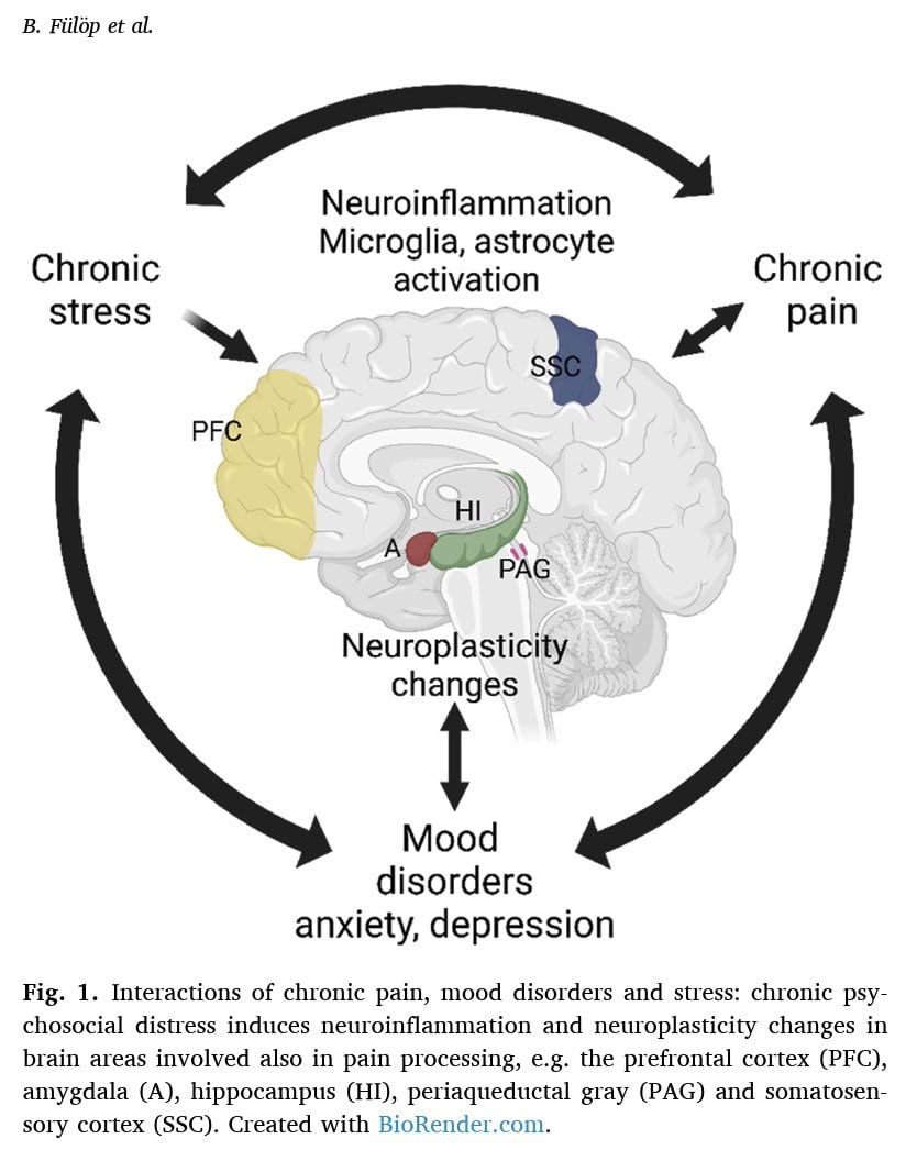 stress-pain connection