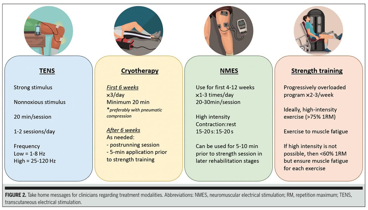 sensorimotor dysfunction rehabilitation of ACL
