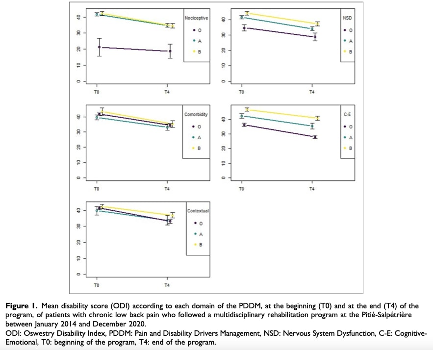 multidimensional low back pain phenotyping
