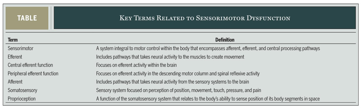 sensorimotor dysfunction rehabilitation of ACL