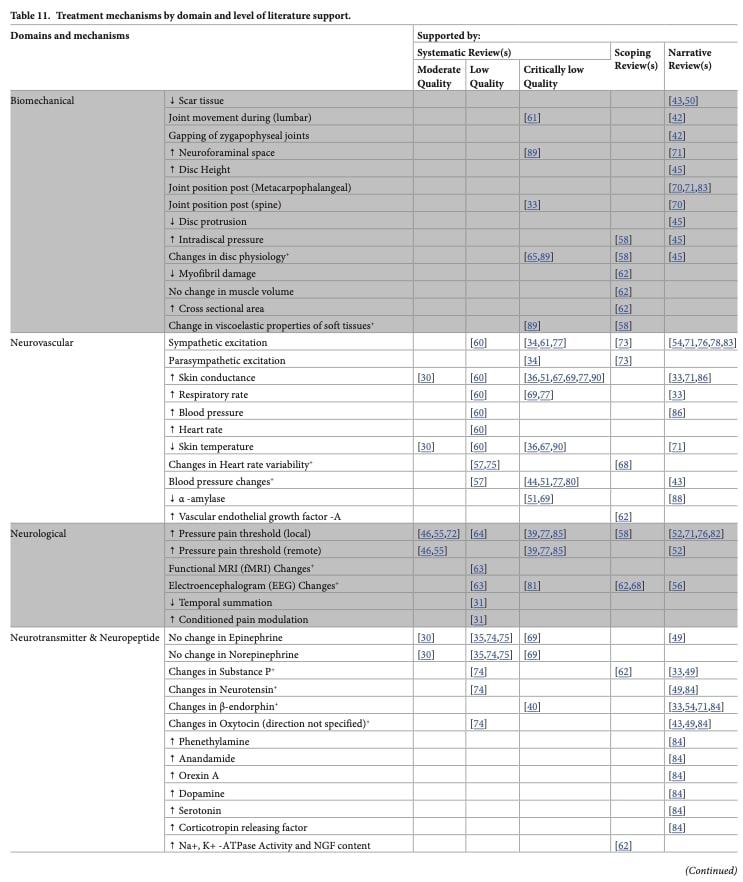 manual therapy mechanisms