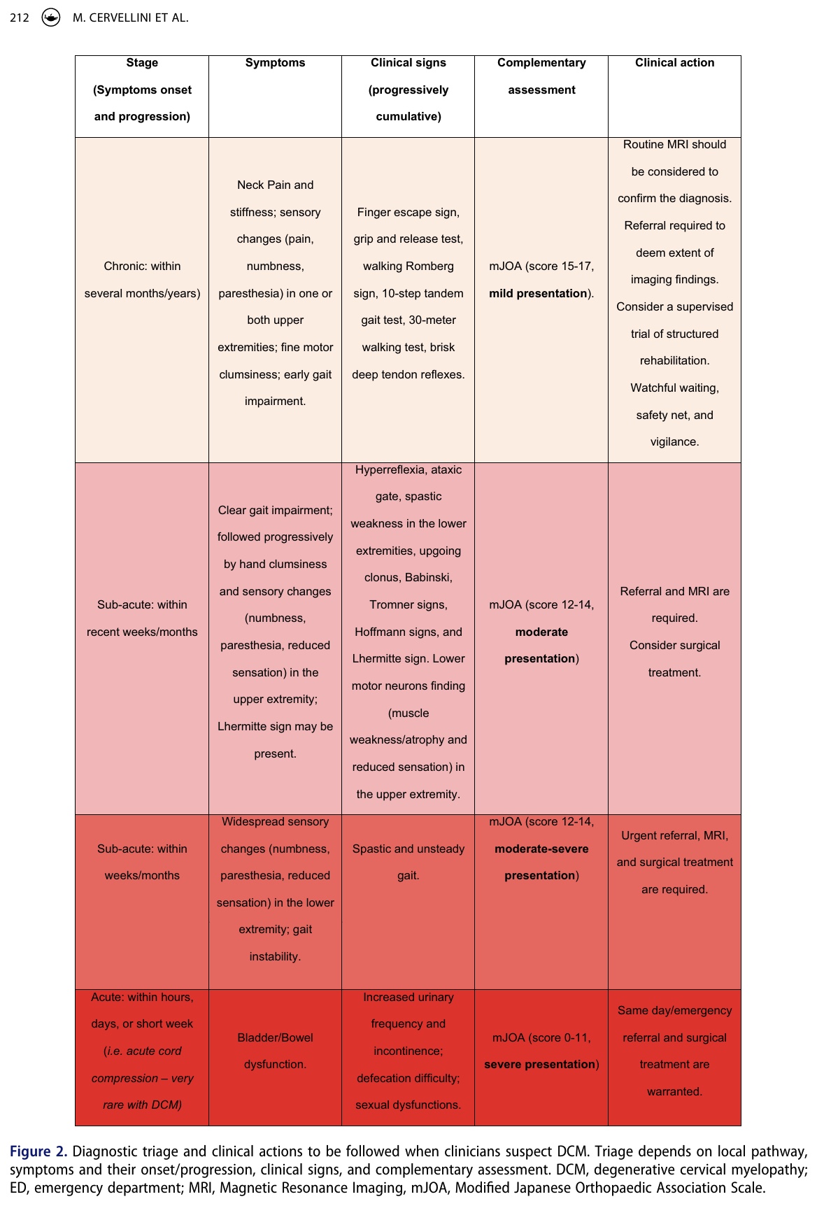 degenerative cervical myelopathy