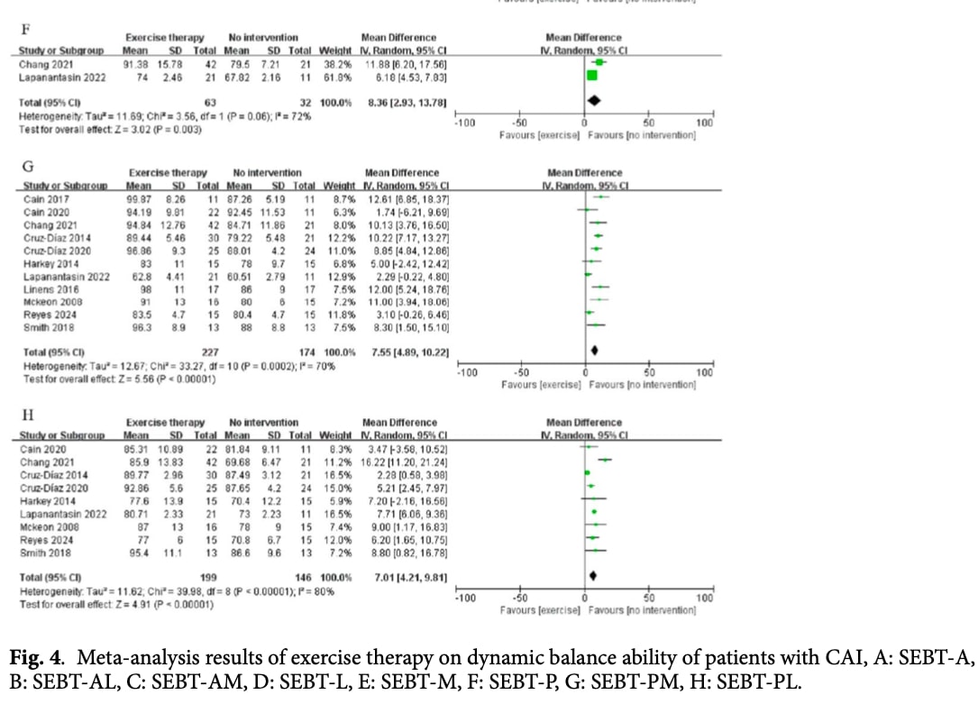 Exercise for chronic ankle instability