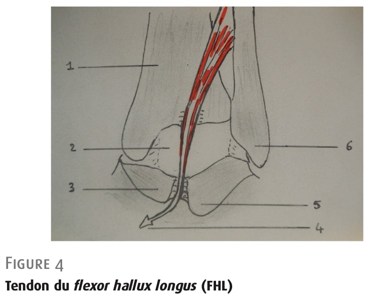 後足関節重心症候群