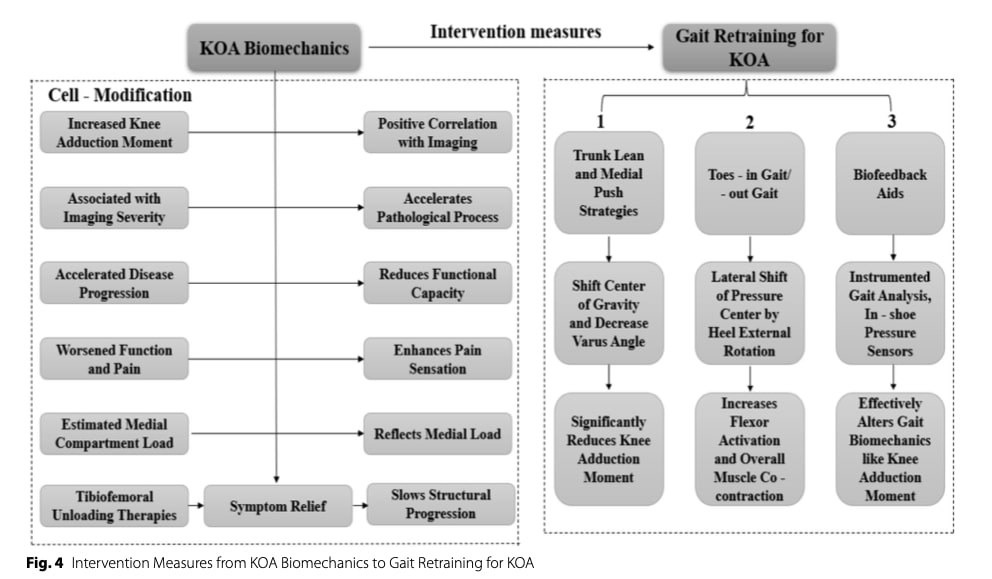 Knee osteoarthritis rehabilitation