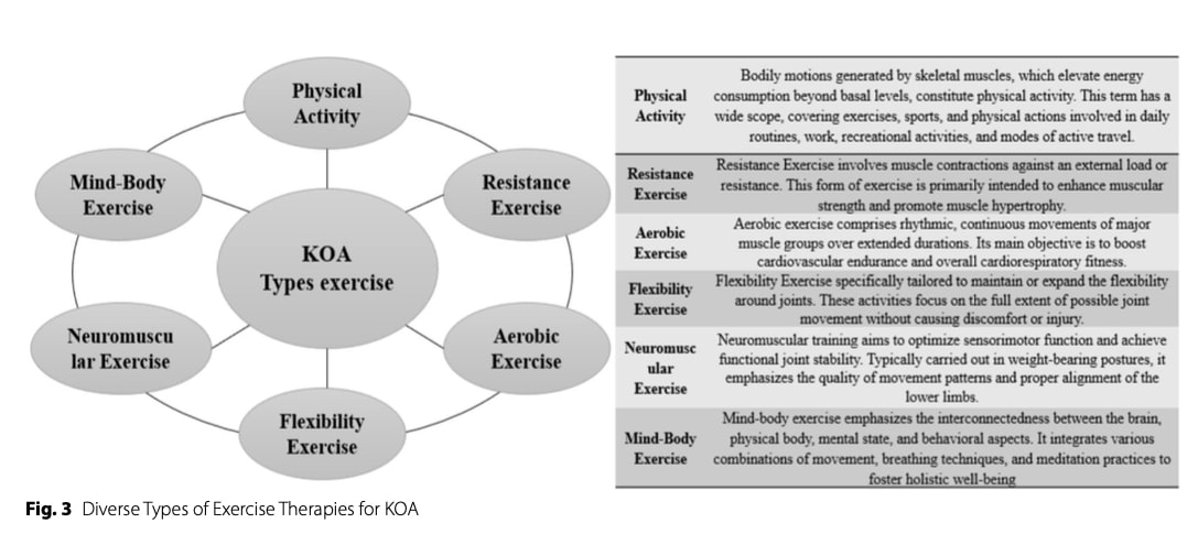 Knee osteoarthritis rehabilitation