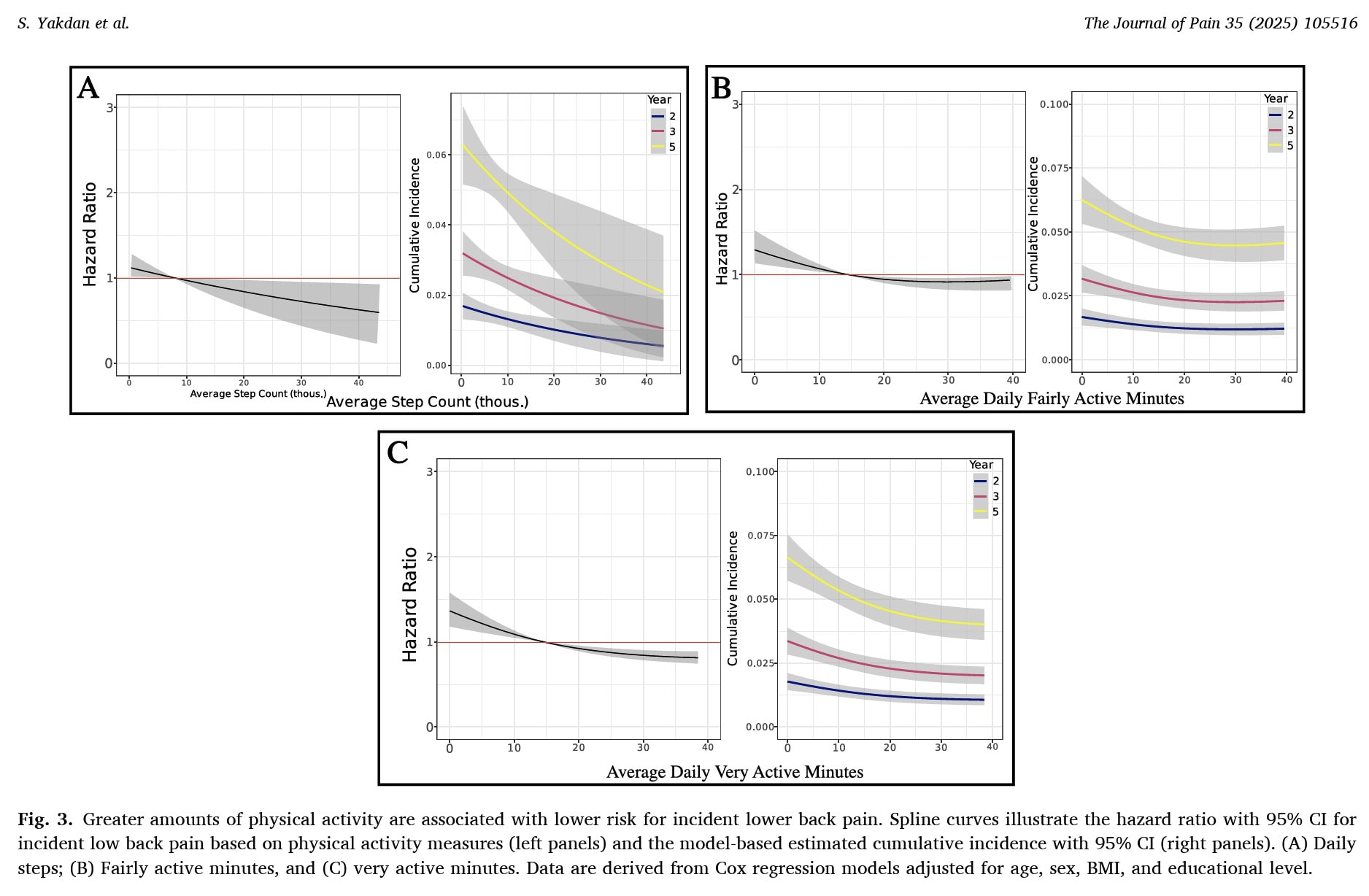 Activity and musculoskeletal pain prevention