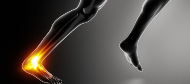 Sarcina mecanică asupra adaptării tendonului