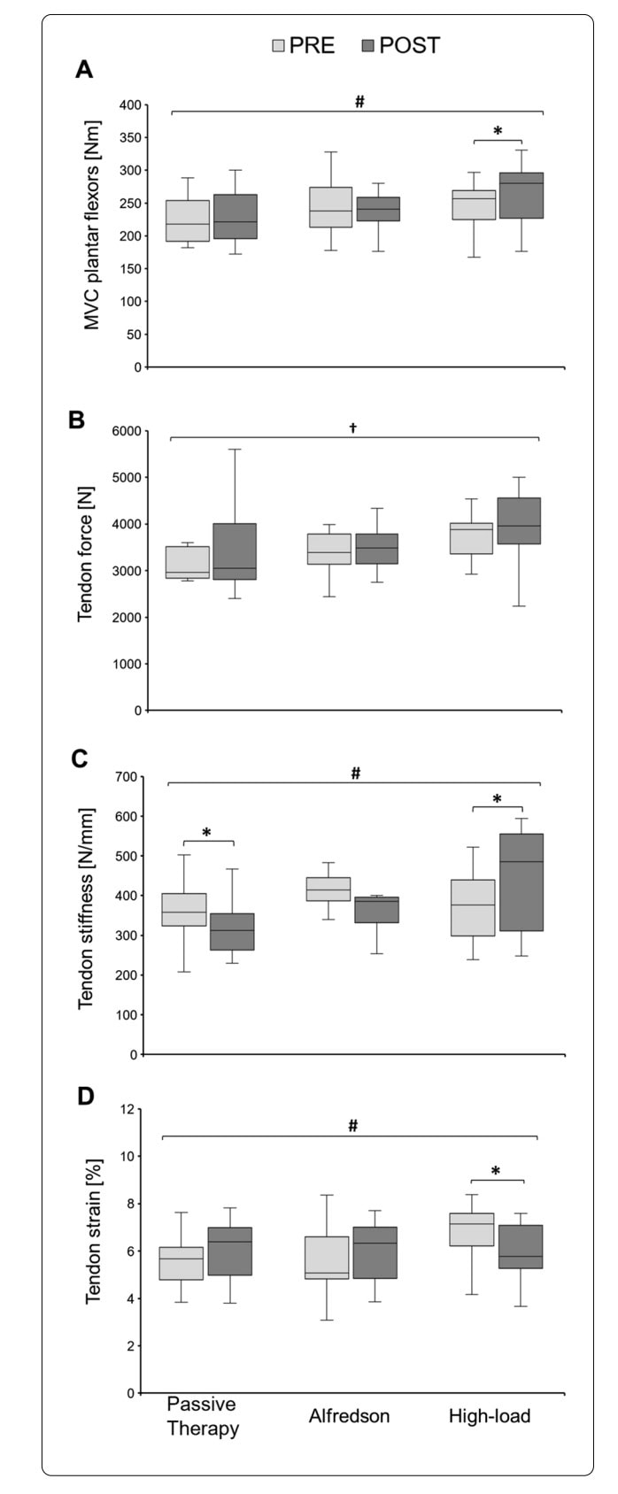 Nagy terhelést igénylő gyakorlat az ínok számára