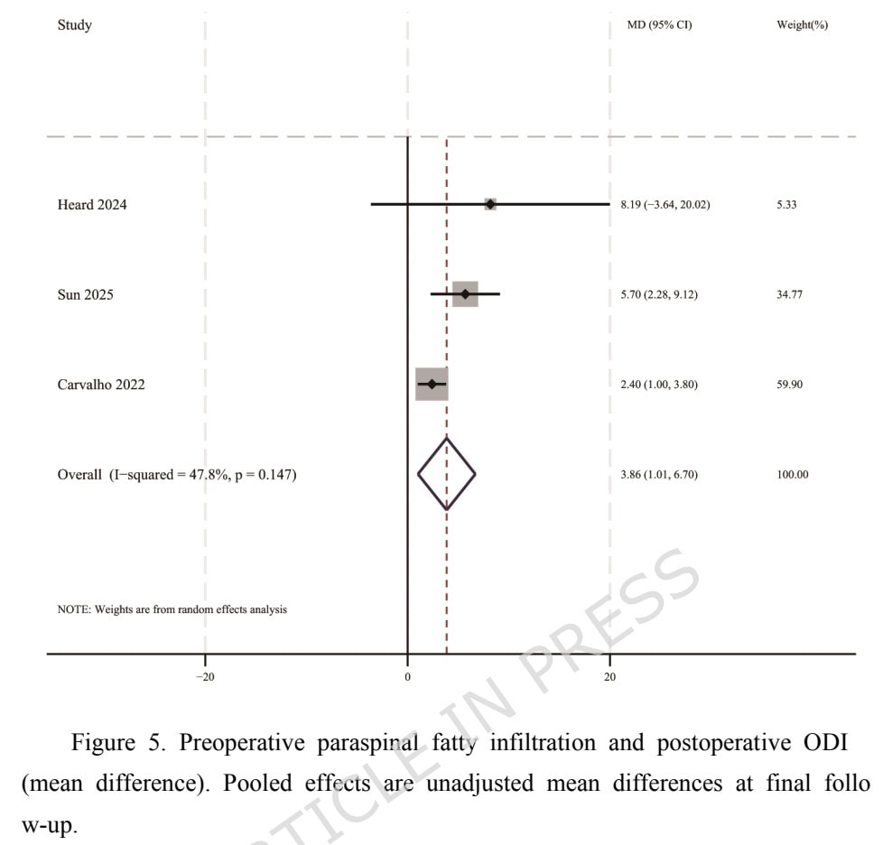 术前肌肉状况与腰椎间盘切除术结果