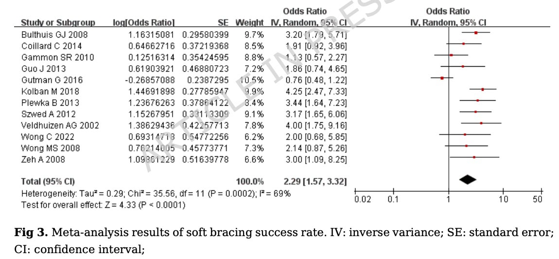 Soft Bracing Effectiveness in Adolescent Idiopathic Scoliosis