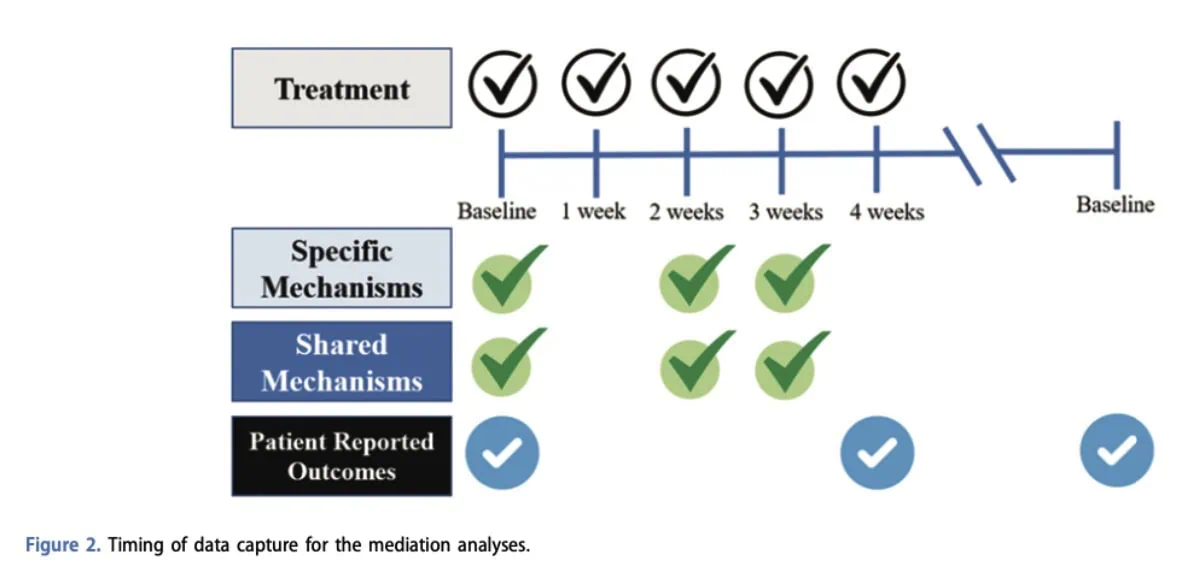 Treatment mechanisms in neck pain