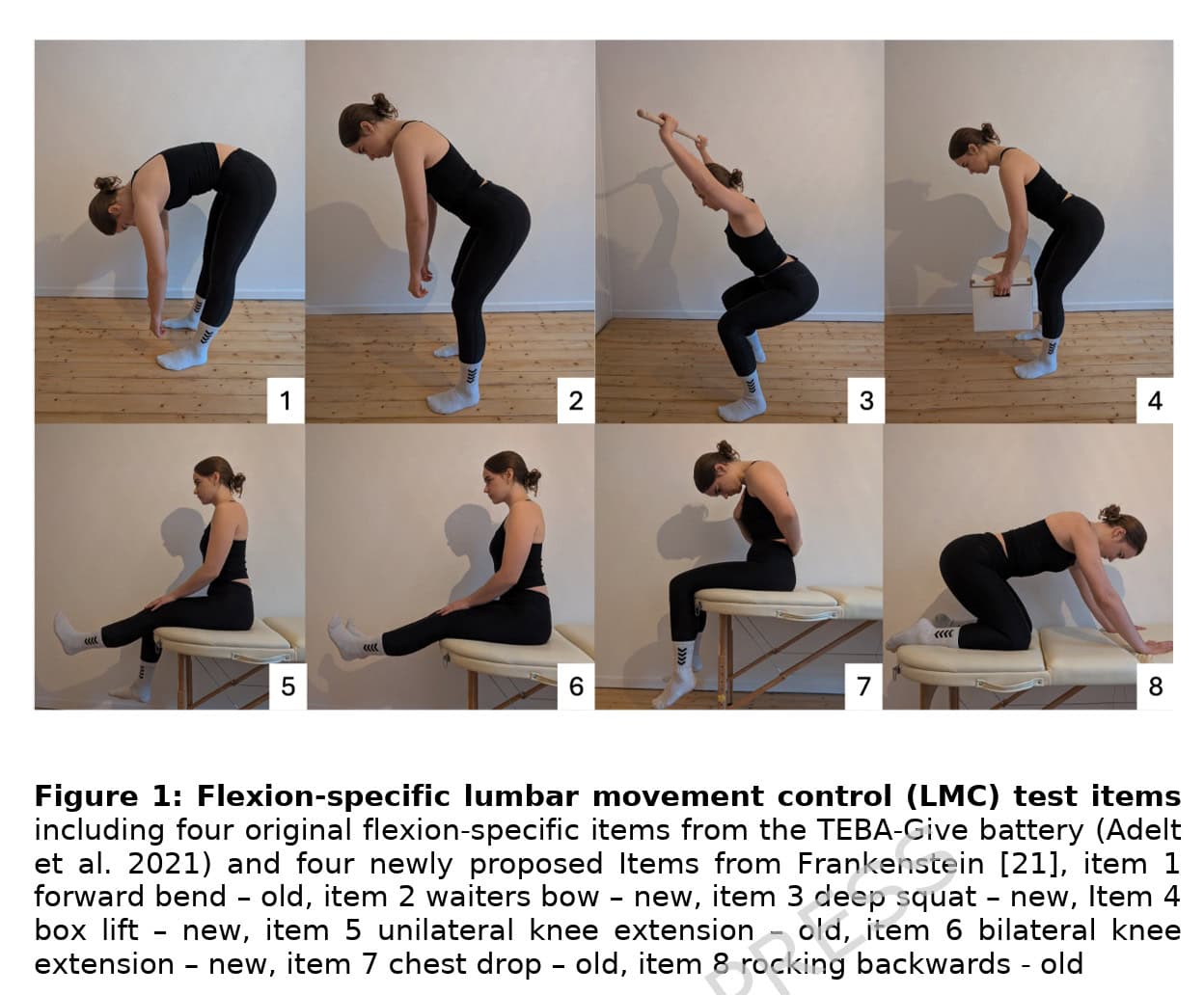 Lumbar Motor Control Tests