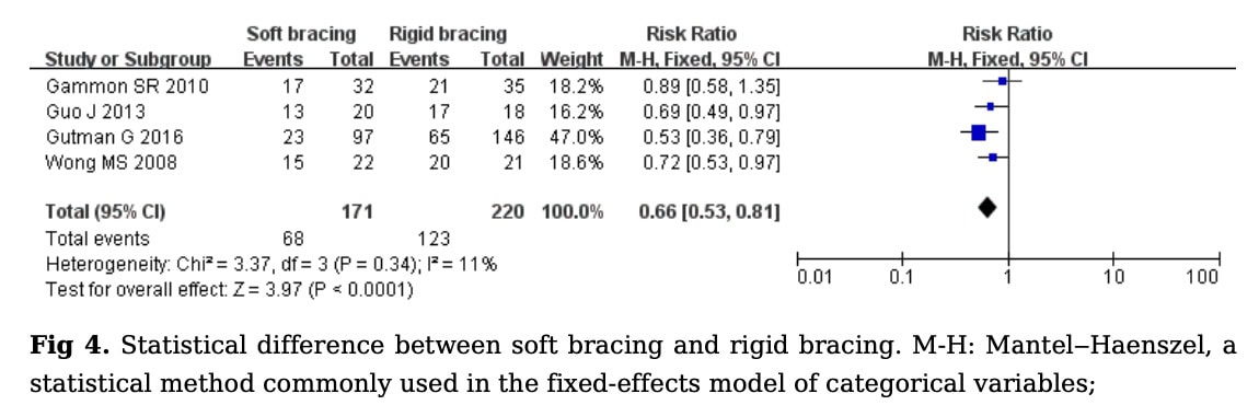 Soft Bracing Effectiveness in Adolescent Idiopathic Scoliosis