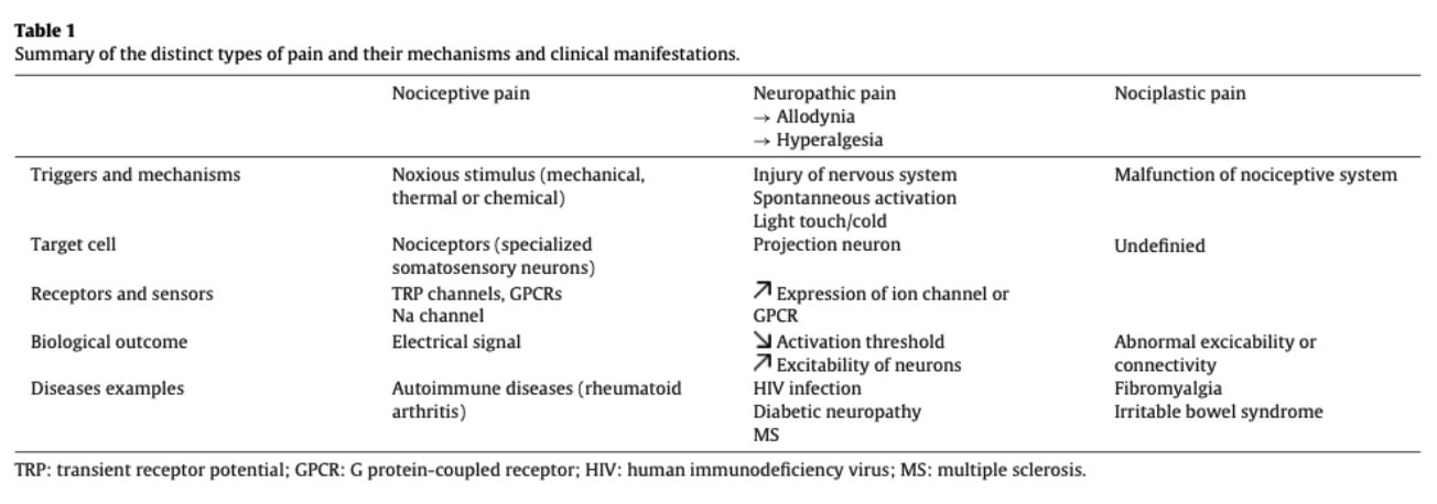 Immune Control of Pain