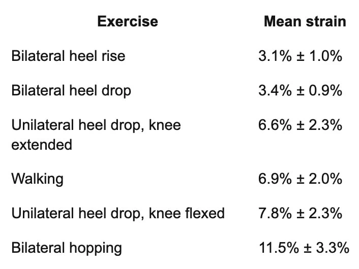 Patient-specific Achilles tendinopathy rehabilitation
