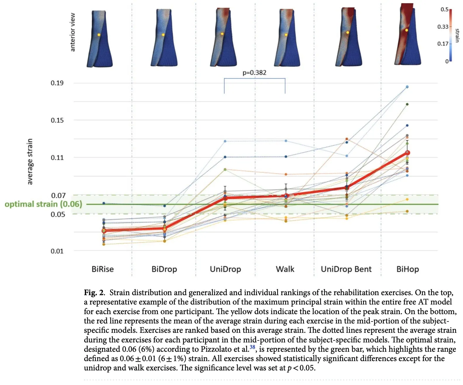 Patient-specific Achilles tendinopathy rehabilitation